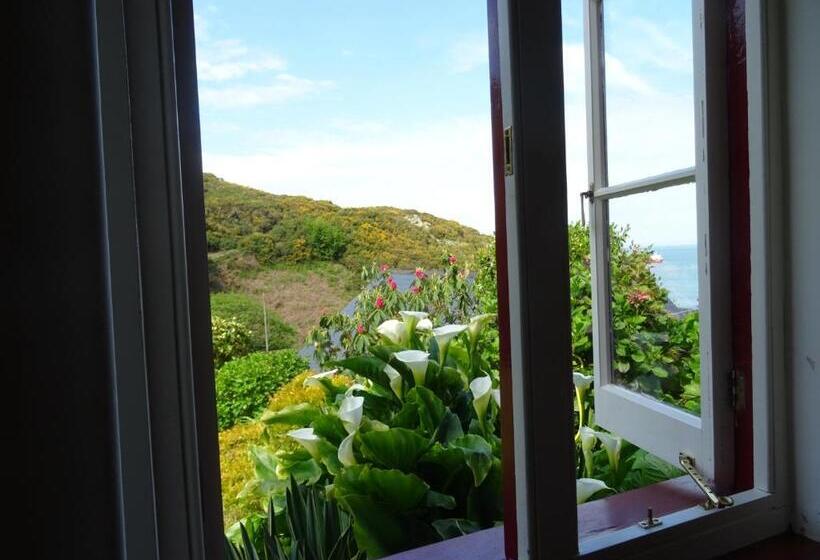 اتاق استاندارد, Undercliff Guest House