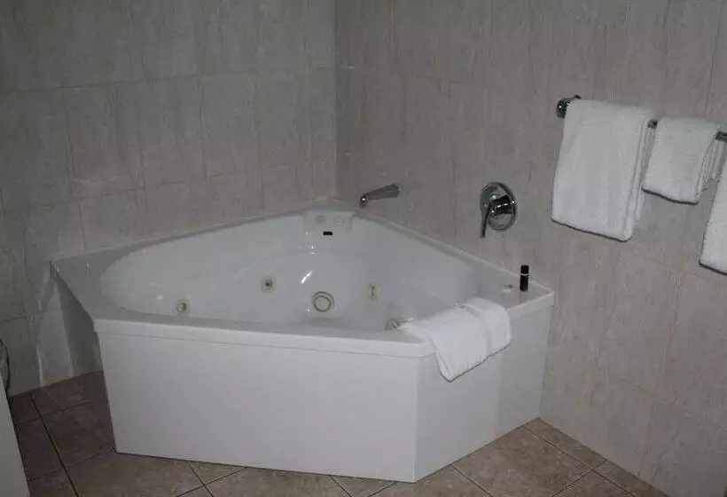 استودیوی استاندارد, Harbour City Motor Inn & Conference