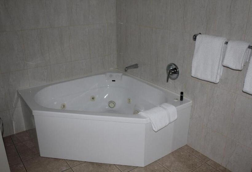 غرفة قياسية لذوى الاحتياجات الخاصة, Harbour City Motor Inn & Conference