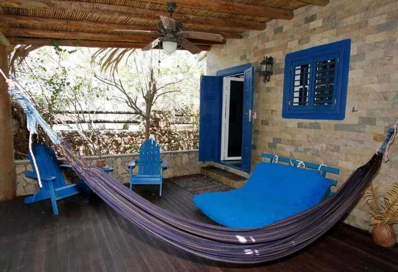 بانگلوی لوکس, Steviewonderland Playa El Yaque