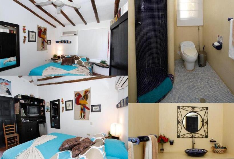 StandaardKamer, Steviewonderland Playa El Yaque