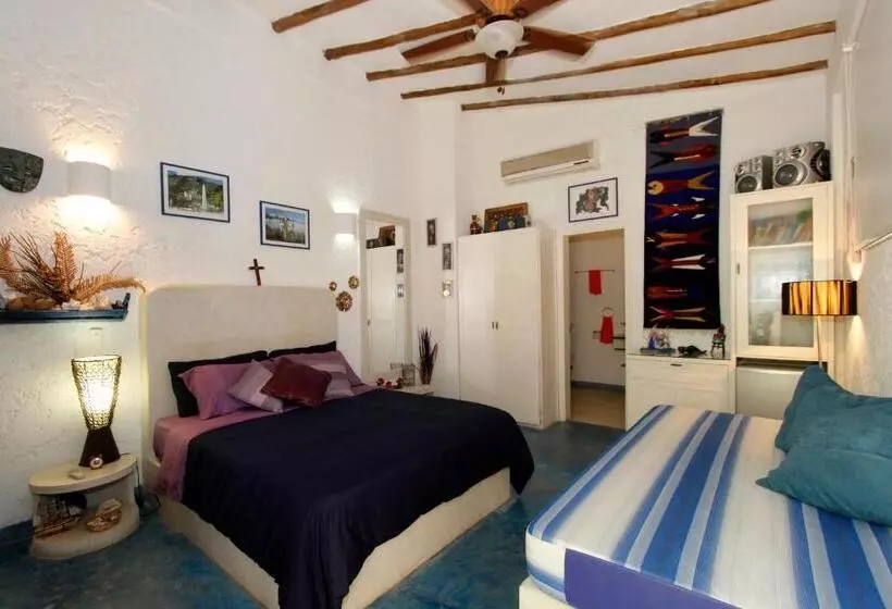 سوییت, Steviewonderland Playa El Yaque