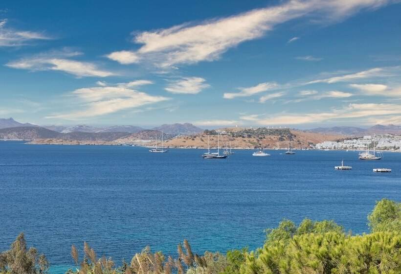 带海景的标准房, Senses Hotel   Adults Only