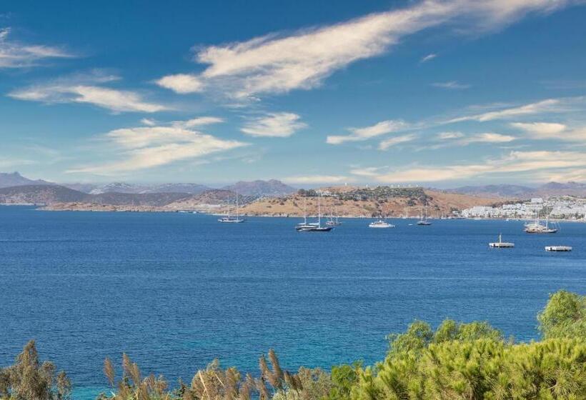 带海景的标准房, Senses Hotel   Adults Only