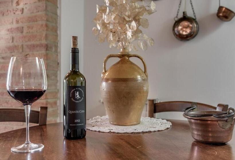 １階の１ベッドルームアパートメント, I Melograni Del Chianti