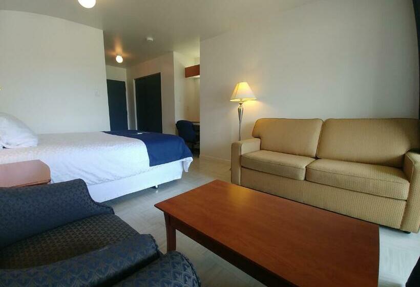 标准房带园景, La Baleine Endiablée Microbrasserie