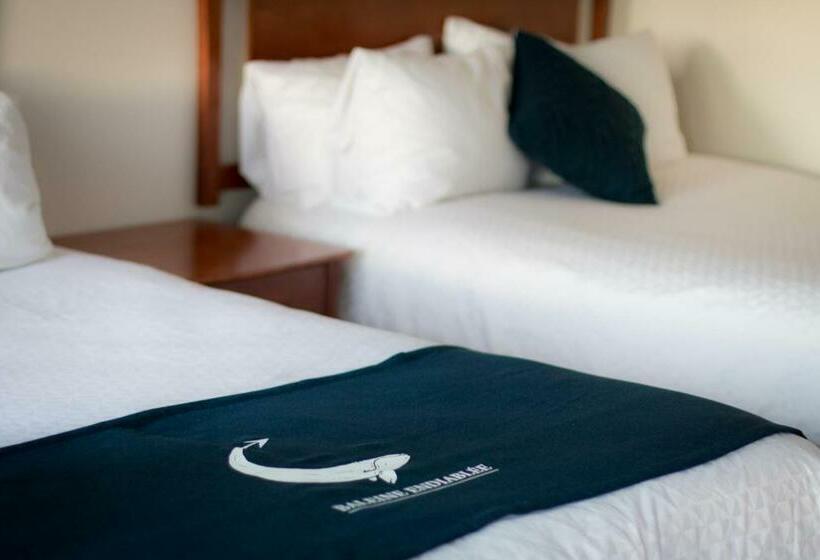 标准房带园景, La Baleine Endiablée Microbrasserie