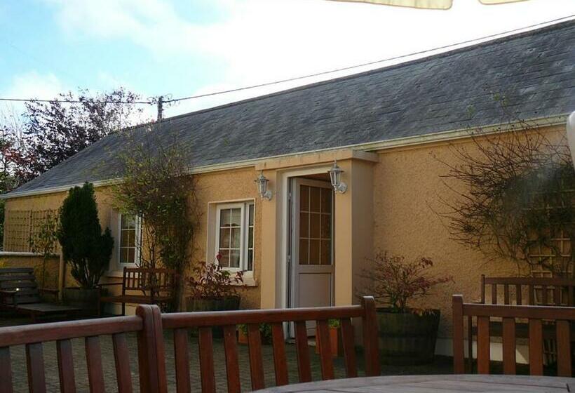 חדר סטנדרט חדר אמבטיה משותף, Annalee House B&b