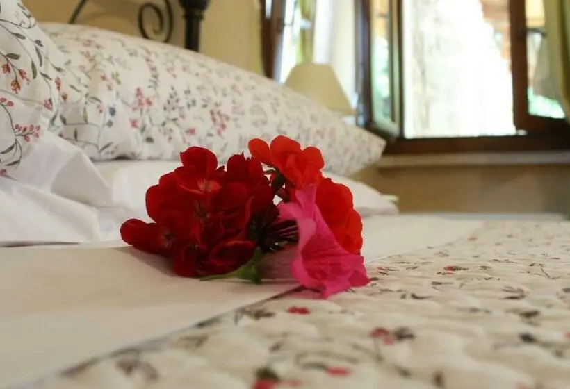 Standard-huone, B&b Lo Gnomo