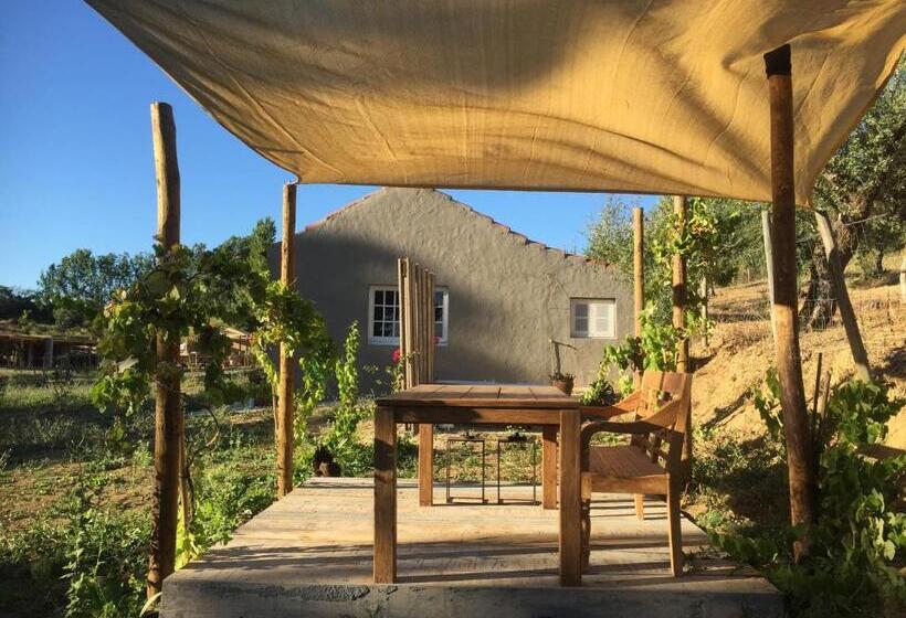 스탠다드 방갈로, Dominio Vale Flores