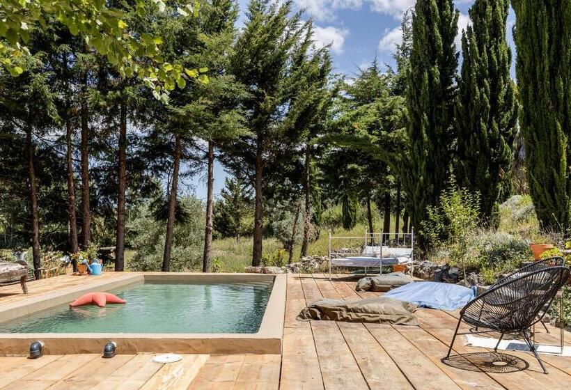 Standard Tent, Dominio Vale Flores