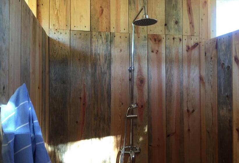 Standard Tent, Dominio Vale Flores