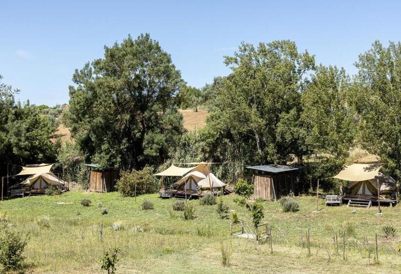 Standard Tent, Dominio Vale Flores