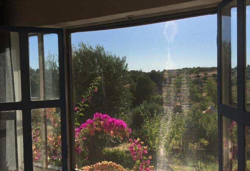 이코노미 룸, Dominio Vale Flores