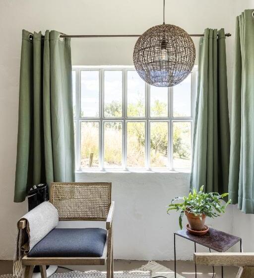 이코노미 룸, Dominio Vale Flores