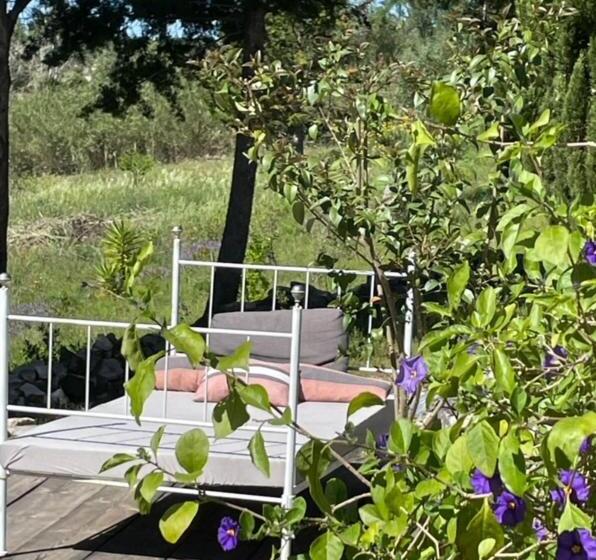 스탠다드 룸, Dominio Vale Flores