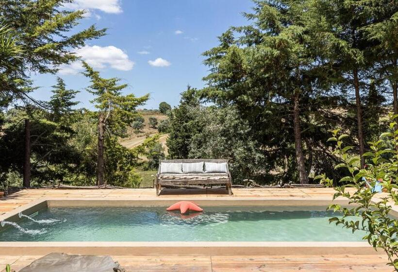 스탠다드 룸, Dominio Vale Flores