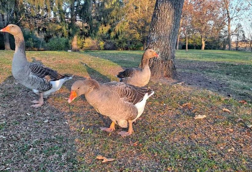 패밀리 룸, Harmony Inn, Huntley Illinois