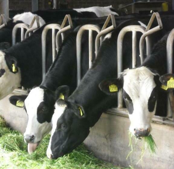 דירת חדר נוף לגינה, Bed And Breakfast Hoeve Spoorzicht