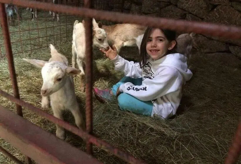 Perhehuone, A Queijaria