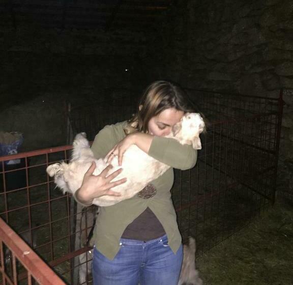 غرفة عائلية, A Queijaria