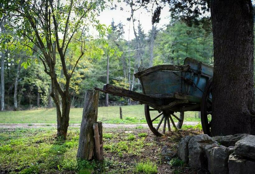 디럭스 룸, Domaine De Clarat