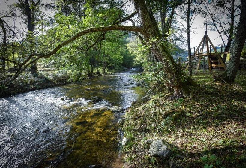 4인용 수피리어 룸, Domaine De Clarat