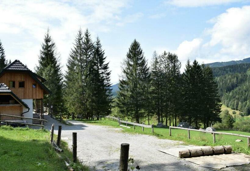 חדר משפחתי, Ferienhaus Dirnbacher Hütte