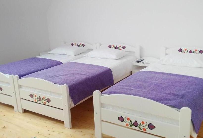 スタンダードトリプルルーム, Pensiunea Marceluca