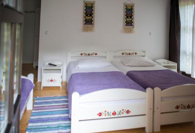 マウンテンビューデラックスルーム, Pensiunea Marceluca