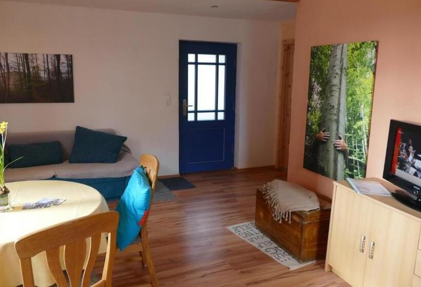 Апартаменты 1 Спальня с Террасой, Hainich Zeit