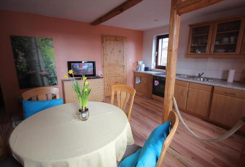 Апартаменты 1 Спальня с Террасой, Hainich Zeit