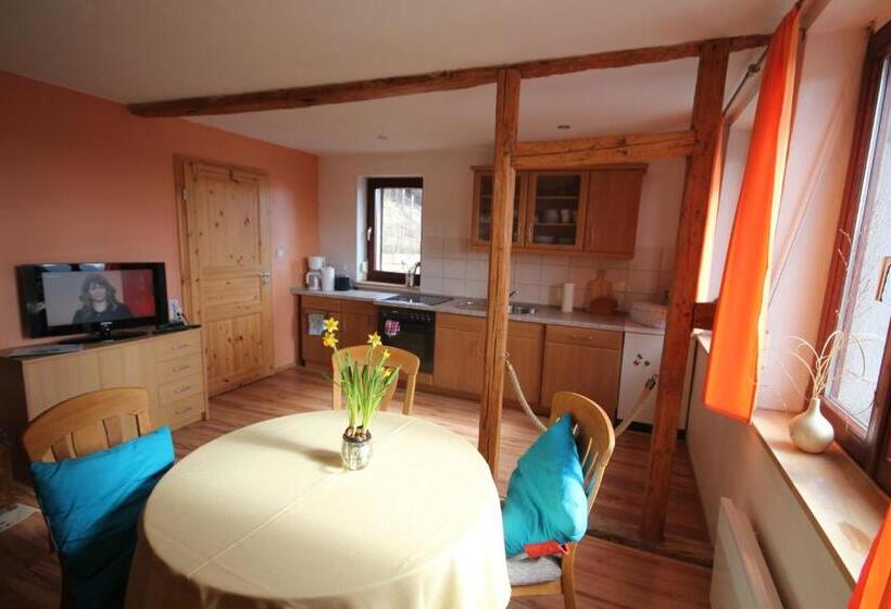 Апартаменты 1 Спальня с Террасой, Hainich Zeit