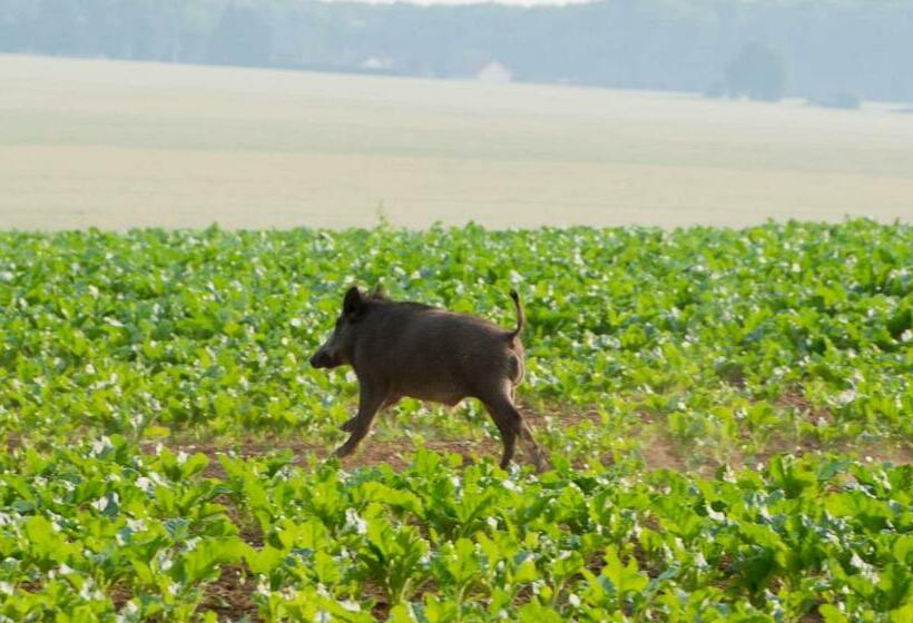 스탠다드 룸, Bernafay Wood B&b