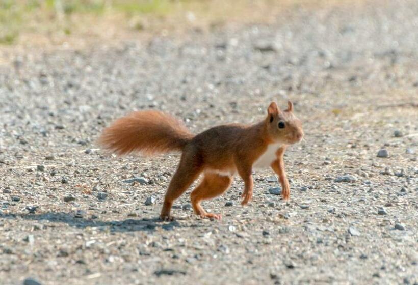 스탠다드 룸, Bernafay Wood B&b