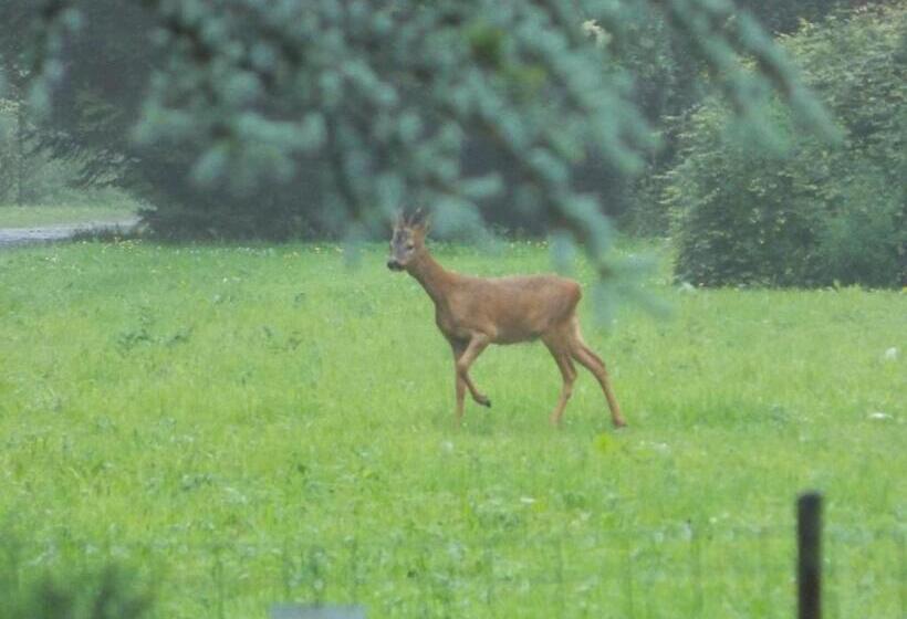 Standard room with outdoor bath, Bernafay Wood B&b
