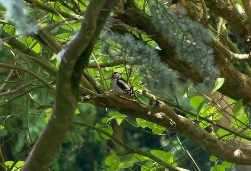 Standard room with outdoor bath, Bernafay Wood B&b