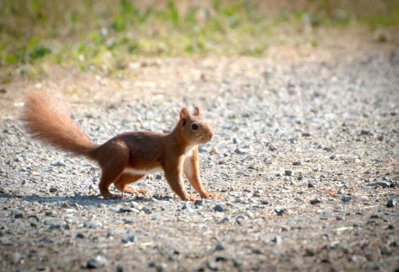 침실 2개 스위트, Bernafay Wood B&b