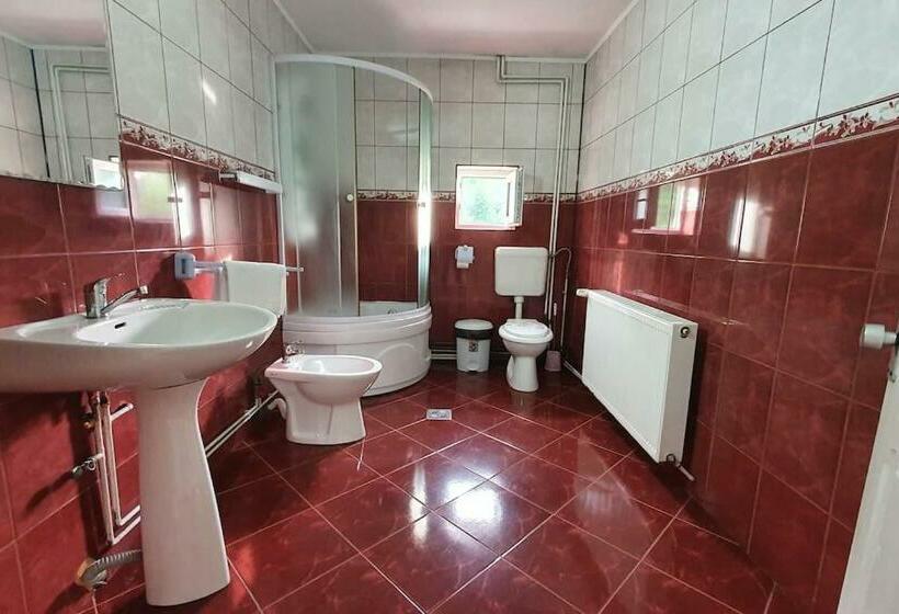 스탠다드 룸 산 전망, Casa Petruta Dambovicioara