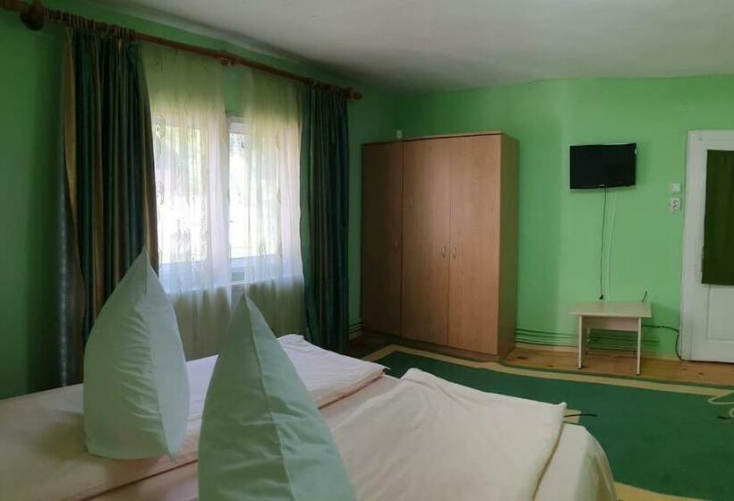 Номер Стандарт Вид на Горы, Casa Petruta Dambovicioara