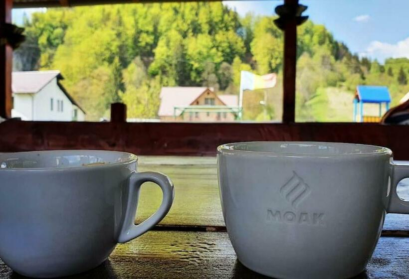 스탠다드 룸 산 전망, Casa Petruta Dambovicioara