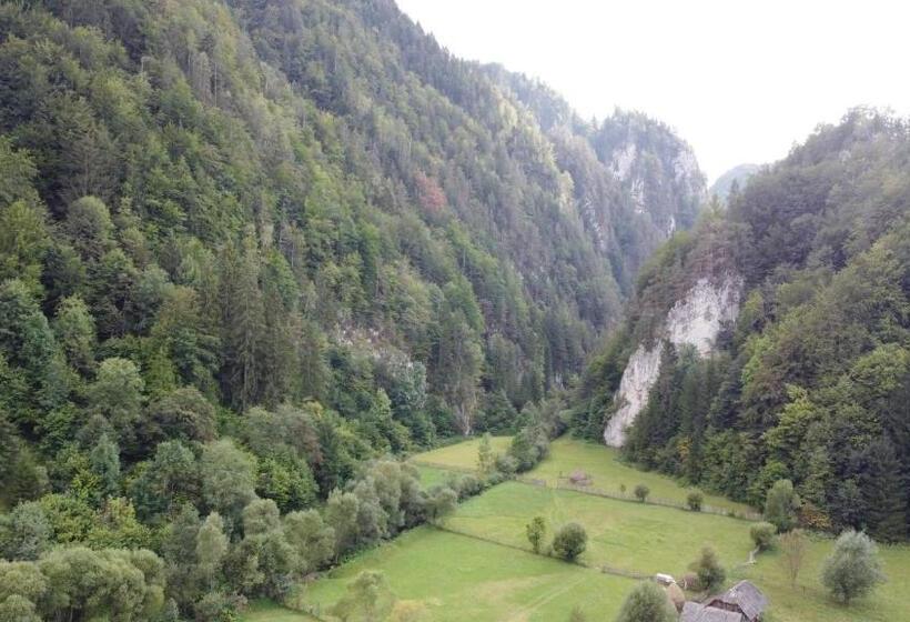 스탠다드 룸 산 전망, Casa Petruta Dambovicioara