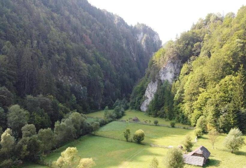 침실 1개 아파트, Casa Petruta Dambovicioara