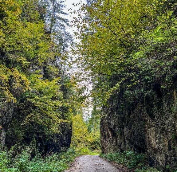 침실 1개 아파트, Casa Petruta Dambovicioara