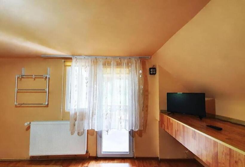 Апартаменты 1 Спальня с Балконом, Casa Petruta Dambovicioara