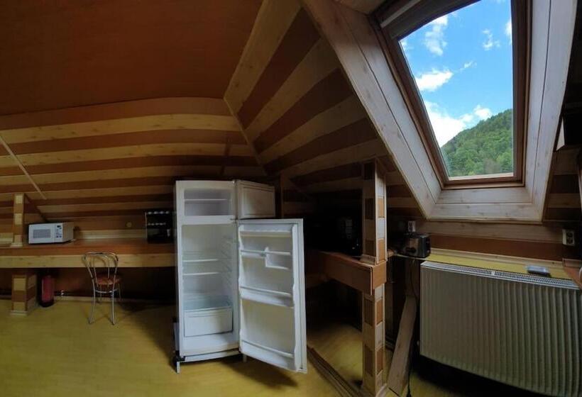 침실 1개 발코니 아파트, Casa Petruta Dambovicioara