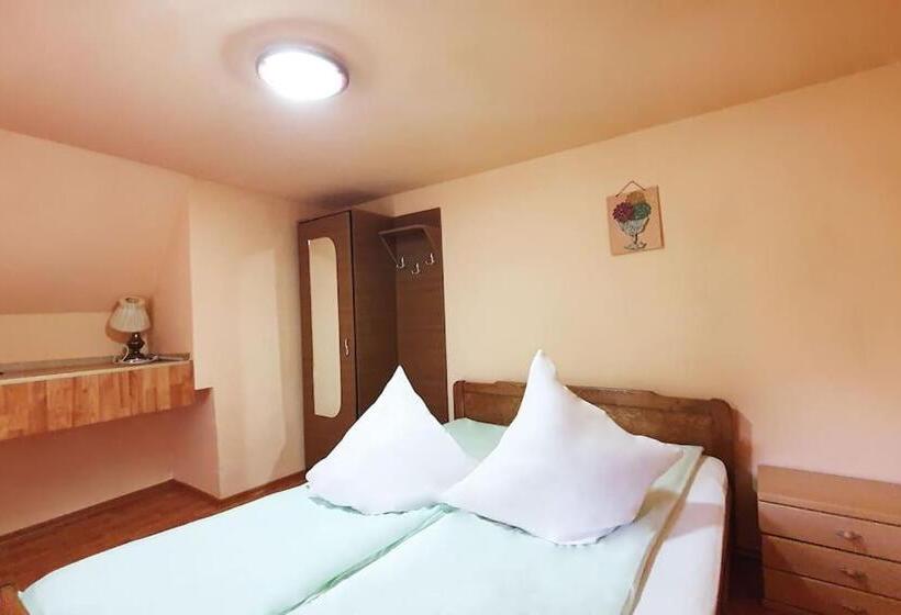 침실 1개 발코니 아파트, Casa Petruta Dambovicioara