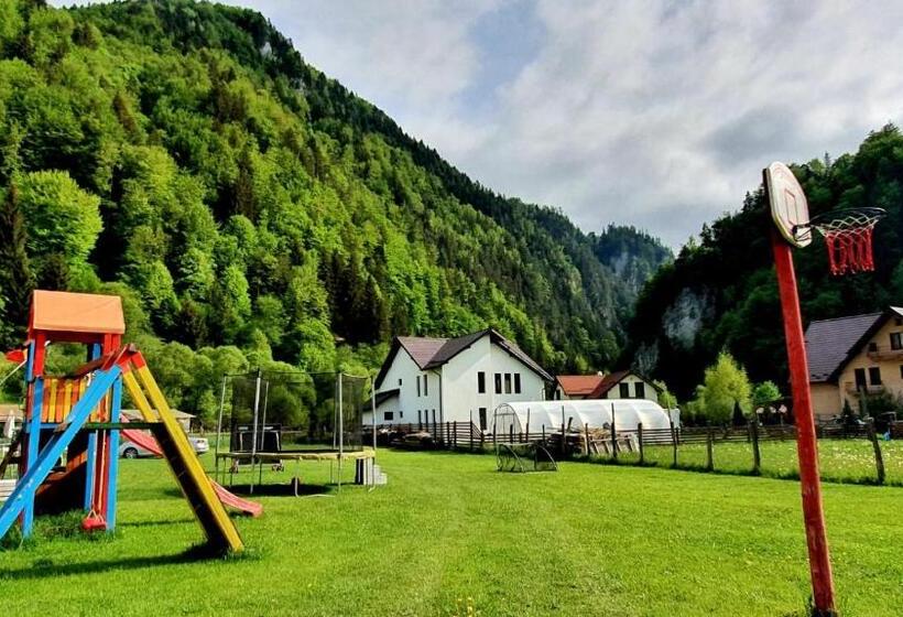 Дом 1 Спальня, Casa Petruta Dambovicioara
