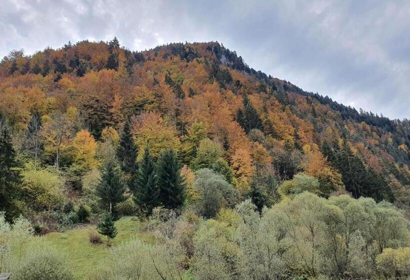 침실 1개 주택, Casa Petruta Dambovicioara