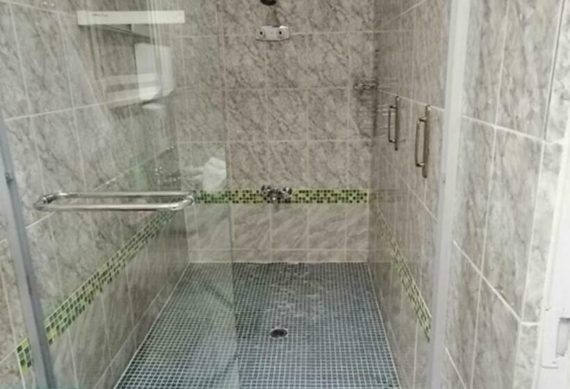 סטודיו סטנדרט, מיטה זוגית, Lenasia Guest Lodge